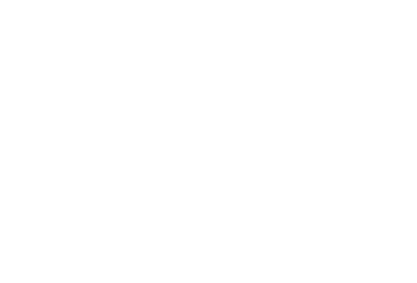 Zed Run