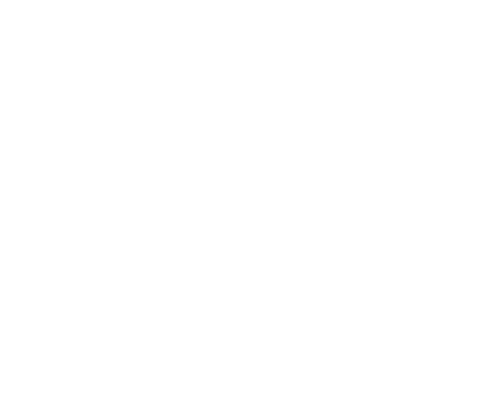 Rogue Fox Guild